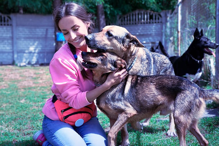 Pet adoption event